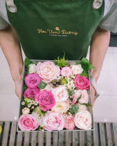 Hoa Ven Đường - Hoa Hộp 4 - belovedbeyond.com