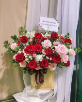 Hoa Ven Đường - Hoa Lẵng 3 - belovedbeyond.com