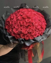 Cầu Hôn - belovedbeyond.com