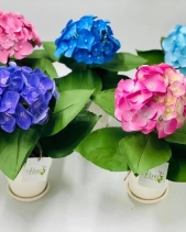 Chắp Cánh - belovedbeyond.com