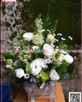 Thanh Xuân - belovedbeyond.com