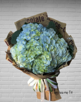 Tiệm Hoa Mẹ Tít - Tú Cầu Xanh - belovedbeyond.com