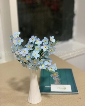 Cảm Ơn - belovedbeyond.com