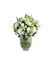 Ngày Xanh - belovedbeyond.com