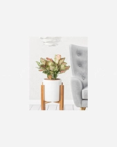 Vạn Lộc 28 - belovedbeyond.com