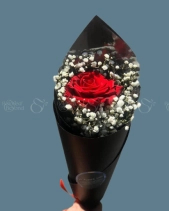 Shop Hoa 54 | Bó Hoa 63 - belovedbeyond.com