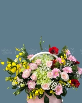 Shop Hoa 54 | Hoa 111 - belovedbeyond.com