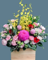 Shop Hoa 54 | Hoa 116 - belovedbeyond.com