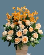 Shop Hoa 54 | Hoa 122 - belovedbeyond.com