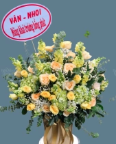 Shop Hoa 54 |  Hoa 138 - belovedbeyond.com