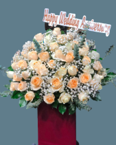 Shop Hoa 54 |  Hoa 152 - belovedbeyond.com