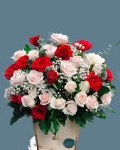 Shop Hoa 54 |  Hoa 156 - belovedbeyond.com