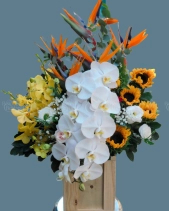 Shop Hoa 54 | Hoa 165 - belovedbeyond.com