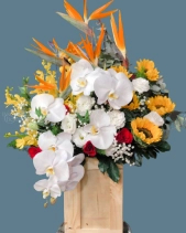 Shop Hoa 54 | Hoa 167 - belovedbeyond.com