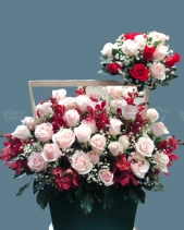 Shop Hoa 54 | Hoa 175 - belovedbeyond.com