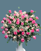 Shop Hoa 54 | Hoa 179 - belovedbeyond.com