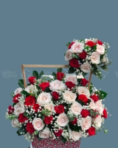 Shop Hoa 54 | Hoa 185 - belovedbeyond.com