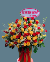 Shop Hoa 54 | Hoa 187 - belovedbeyond.com