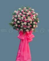 Shop Hoa 54 | Hoa 191 - belovedbeyond.com