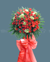 Shop Hoa 54 | Hoa 198 - belovedbeyond.com
