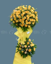 Shop Hoa 54 | Hoa 200 - belovedbeyond.com