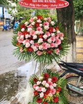 Khởi Sắc - belovedbeyond.com