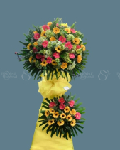 Shop Hoa 54 | Hoa 202 - belovedbeyond.com