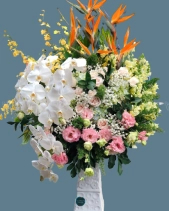 Shop Hoa 54 | Hoa 224 - belovedbeyond.com