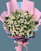 Shop Hoa 54 | Hoa Bó 227 - belovedbeyond.com
