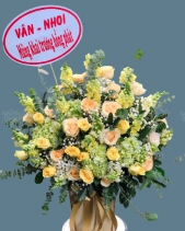 Shop Hoa 54 | Hoa 238 - belovedbeyond.com