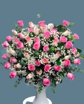 Shop Hoa 54 | Hoa 256 - belovedbeyond.com