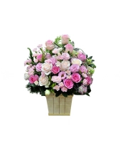 Nhịp Tim Yêu - belovedbeyond.com