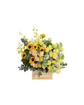 Tuổi Trẻ - belovedbeyond.com