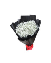 Baby's Breath 2 - belovedbeyond.com