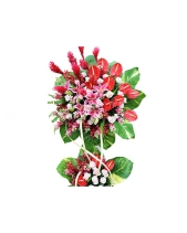 Tương Lai Rực Rỡ - belovedbeyond.com