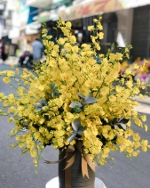 Ươm Mầm - belovedbeyond.com