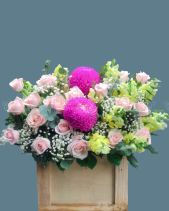 Hoa Lẵng 291 - belovedbeyond.com