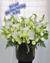 Xanh Tươi - belovedbeyond.com