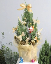 Sơn Tùng Giáng Sinh 01 - belovedbeyond.com