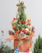 Sơn Tùng Giáng Sinh 02 - belovedbeyond.com