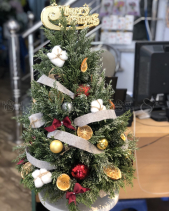 D611523 - belovedbeyond.com