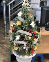 D611524 - belovedbeyond.com