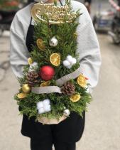 D611527 - belovedbeyond.com