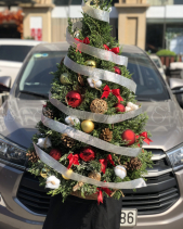 D611528 - belovedbeyond.com