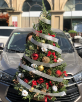 D611528 - belovedbeyond.com