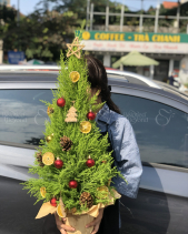 D611529 - belovedbeyond.com