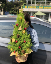 D611529 - belovedbeyond.com