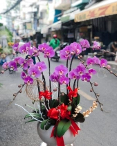 Chậu Hoa Tông Tím 01 - belovedbeyond.com