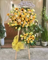 Thành Công - belovedbeyond.com