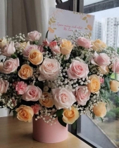 Gh-513 - belovedbeyond.com